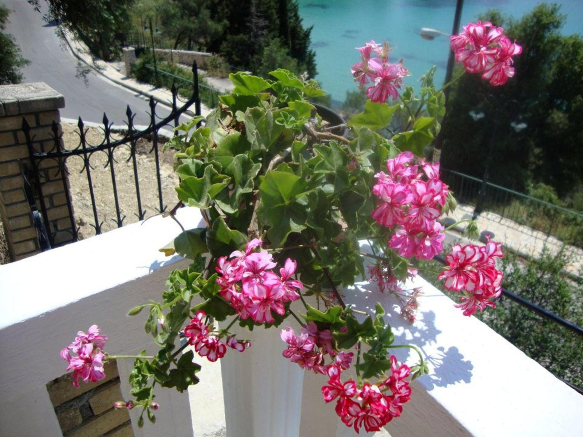 Anthimos Rooms Paleokastritsa Exterior photo