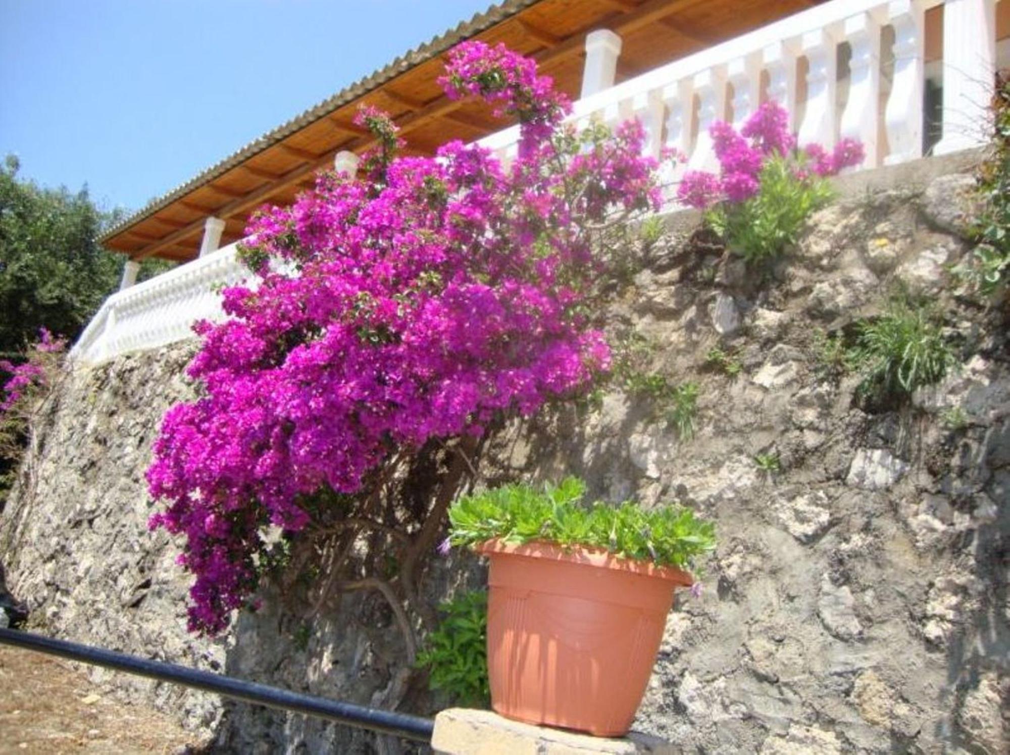 Anthimos Rooms Paleokastritsa Exterior photo